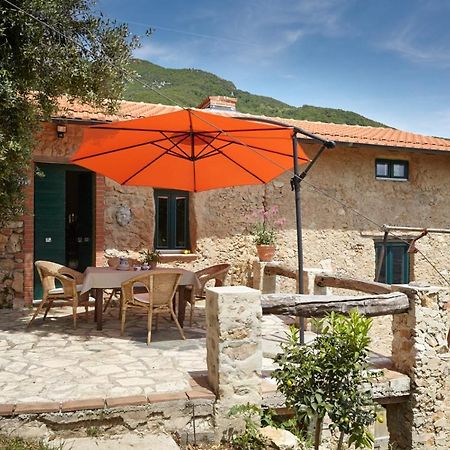 Casa Berti - Urlaub Im Olivenhain Camaiore Εξωτερικό φωτογραφία