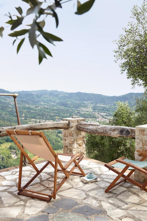 Casa Berti - Urlaub Im Olivenhain Camaiore Εξωτερικό φωτογραφία