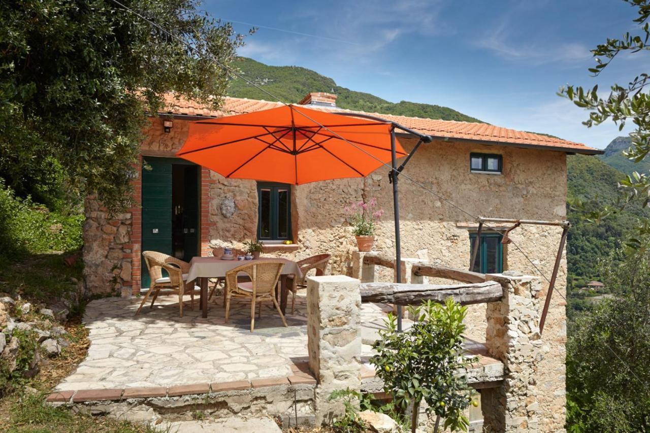 Casa Berti - Urlaub Im Olivenhain Camaiore Εξωτερικό φωτογραφία