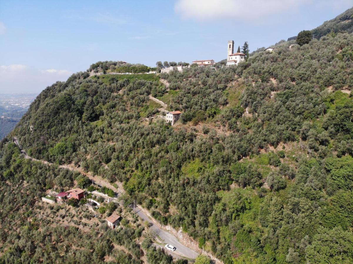 Casa Berti - Urlaub Im Olivenhain Camaiore Εξωτερικό φωτογραφία