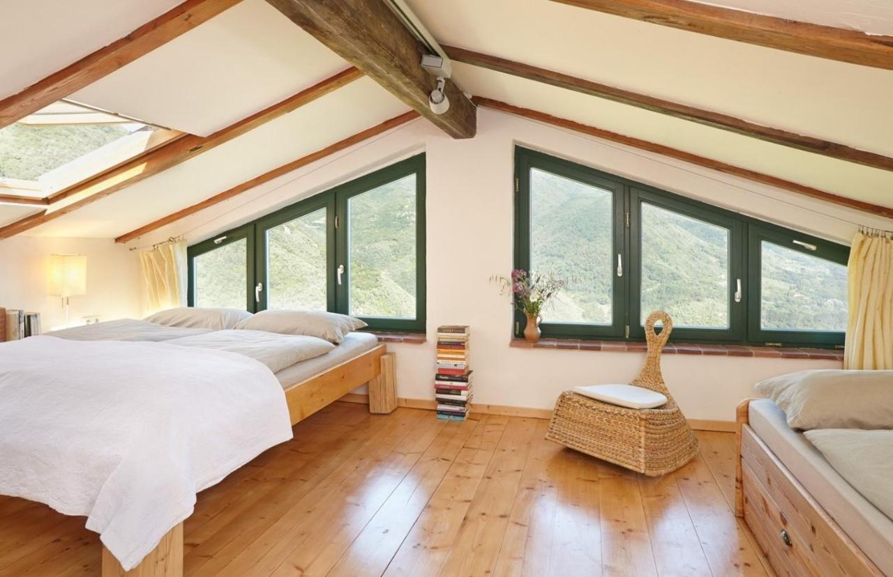 Casa Berti - Urlaub Im Olivenhain Camaiore Εξωτερικό φωτογραφία