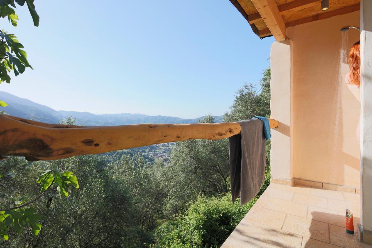 Casa Berti - Urlaub Im Olivenhain Camaiore Εξωτερικό φωτογραφία