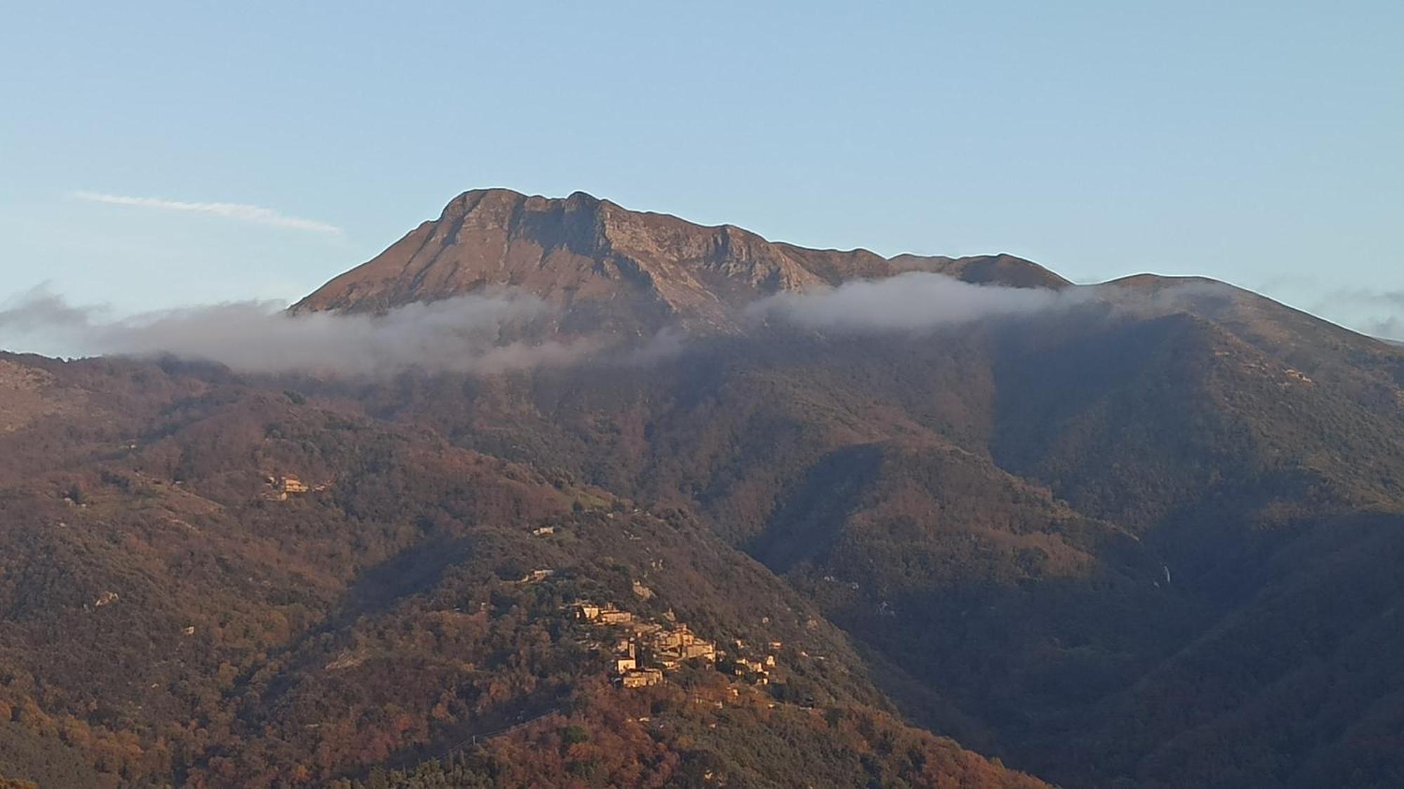 Casa Berti - Urlaub Im Olivenhain Camaiore Εξωτερικό φωτογραφία